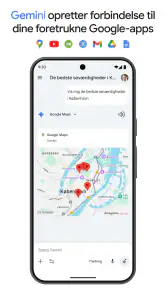 Google Gemini screenshot