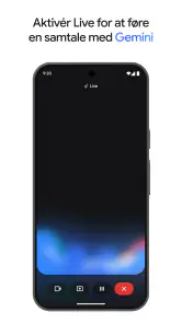 Google Gemini screenshot