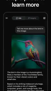 Grok screenshot