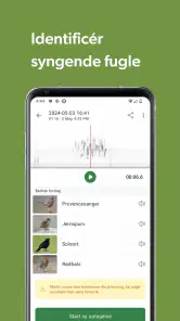 Merlin Bird ID af Cornell Lab screenshot