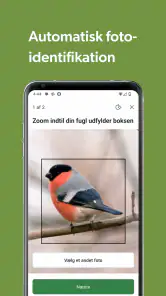 Merlin Bird ID af Cornell Lab screenshot