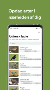 Merlin Bird ID af Cornell Lab screenshot