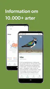 Merlin Bird ID af Cornell Lab screenshot