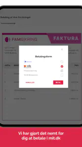 mit.dk screenshot
