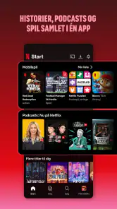 Netflix screenshot