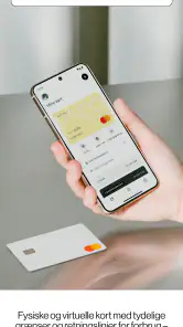 Pleo screenshot