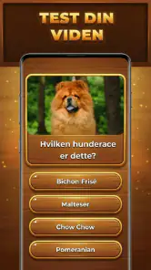 Quiz-Træet: Trivia Blocks screenshot