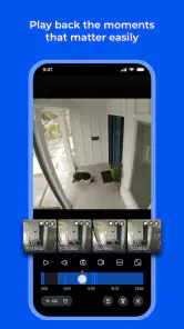 Reolink screenshot