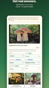Shroomify - Mushroom ID screenshot