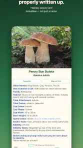 Shroomify - Mushroom ID screenshot
