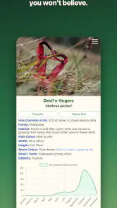 Shroomify - Mushroom ID screenshot