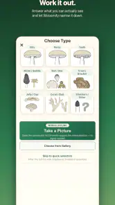 Shroomify - Mushroom ID screenshot