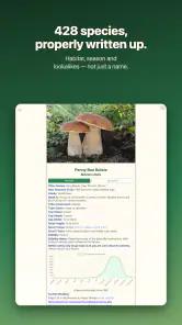Shroomify - Mushroom ID screenshot