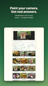 Shroomify - Mushroom ID screenshot