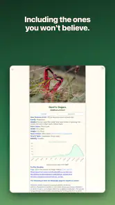 Shroomify - Mushroom ID screenshot