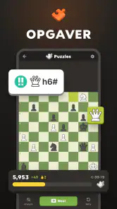 Skak · Spil & Lær Online screenshot