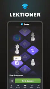 Skak · Spil & Lær Online screenshot
