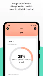 Skatteguiden screenshot