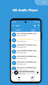 Video Player All Format HD screenshot