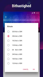 Video til MP3 Konverter screenshot
