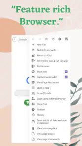 1DM+: Browser & Video Download screenshot