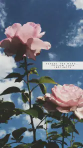 aesthetic wallpaper screenshot