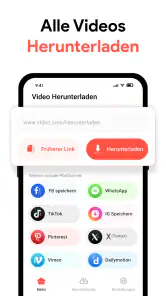 Alle Video Downloader App screenshot