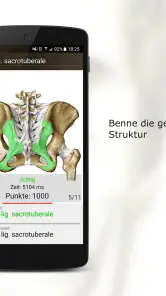 Anatomie Quiz Pro screenshot