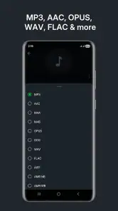 Audio Converter (MP3 AAC OPUS) screenshot