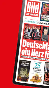 BILD ePaper App screenshot