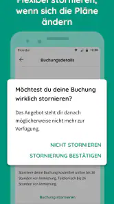 billiger-mietwagen.de screenshot