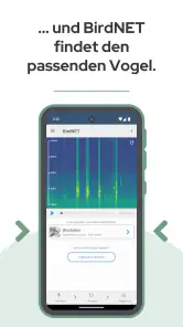 BirdNET screenshot