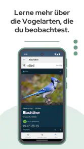 BirdNET screenshot