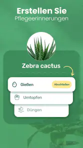 Blossom - Pflanzen bestimmen screenshot