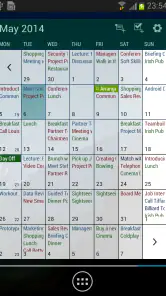 Business Kalender Pro screenshot
