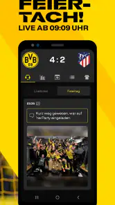 BVB screenshot