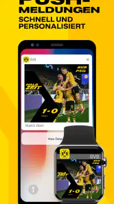 BVB screenshot
