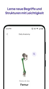 Daily Anatomy Lernkarten screenshot