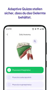 Daily Anatomy Lernkarten screenshot
