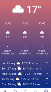 DMI Vejr screenshot