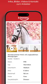 ehorses screenshot