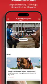 ehorses screenshot