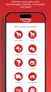 ehorses screenshot