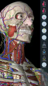 Essential Anatomy 5 screenshot