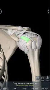 Essential Anatomy 5 screenshot