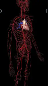 Essential Anatomy 5 screenshot