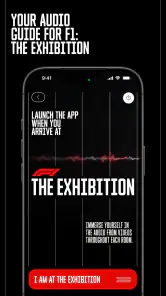 F1® Exhibition: Companion screenshot