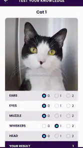 Feline Grimace Scale screenshot