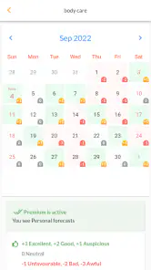 Feng Shui Fortune Calendar screenshot