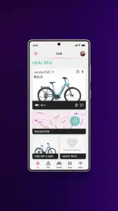 FIT E-Bike Control screenshot